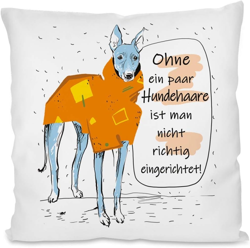 Kissen mit Spruch | Ohne ein paar Hundehaare ist man nicht richtig eingerichtet! | Dekokissen mit Füllung