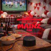 Mainz Fan Fußball LED Nachtlicht – 3D Skyline Design „Ansprechen auf eigene Gefahr“ – RGB Farbwechsel mit Fernbedienung & Touch – Stimmungslicht für die Man Cave – 19x23cm