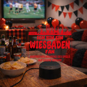 Wiesbaden Fan Fußball LED Nachtlicht – 3D Skyline Design „Ansprechen auf eigene Gefahr“ – RGB Farbwechsel mit Fernbedienung & Touch – Stimmungslicht für die Man Cave – 19x23cm